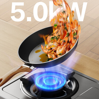 苏泊尔煤气灶哪个型号好用（苏泊尔 NS03 双灶燃气灶 5.0KW 家用 天然气炉灶好不好）