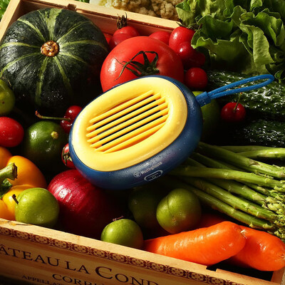 西屋（Westinghouse）果蔬清洗机 WGS31蓝色