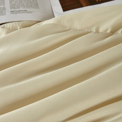 金丝莉 羽绒大豆被 JB-1298  200x230cm