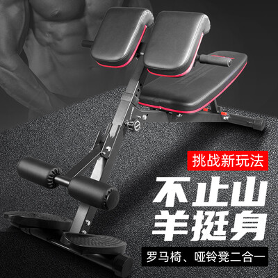 多功能哑铃凳什么牌子好（力动RIDO TD35多功能健身凳哑铃凳质量烂不烂）-图片2