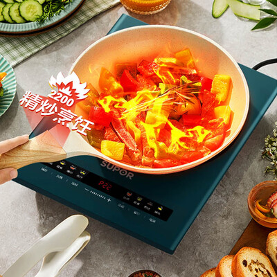 苏泊尔（SUPOR）素彩大板系列电磁炉 C22-IH28