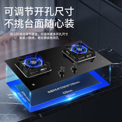 樱花燃气灶哪款好(樱花 B9209 双灶燃气灶 5.0KW 家用 天然气炉灶怎么样)-图片2