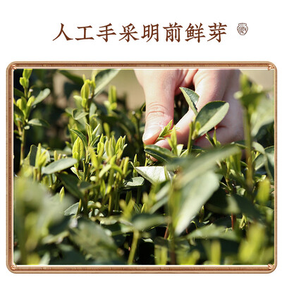 龙井茶和毛尖茶的区别(龙井茶是否值得入手)