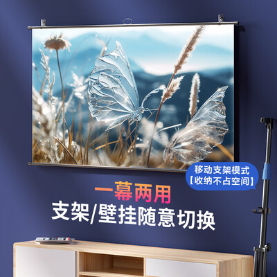 投影仪选择极米还是索尼（极川 100英寸投影幕布投影仪质量如何）-图片2