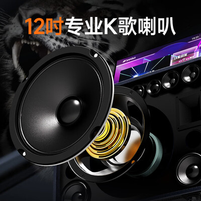 山水音响ktv套装哪款好（山水 SANSUI Q129 家庭K歌音响KTV音响质量如何）-图片1