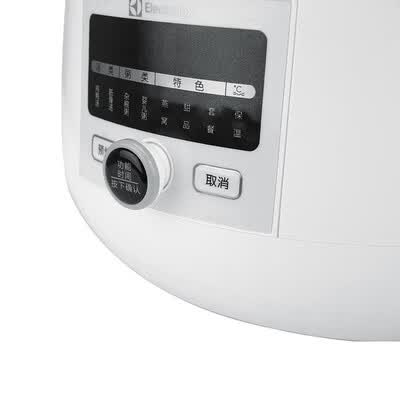 ELECTROLUX 伊莱克斯   微电脑隔水电炖锅  EGSC2110