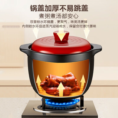 苏泊尔（SUPOR）新陶养生煲.怡悦系列.深汤煲TB60C1