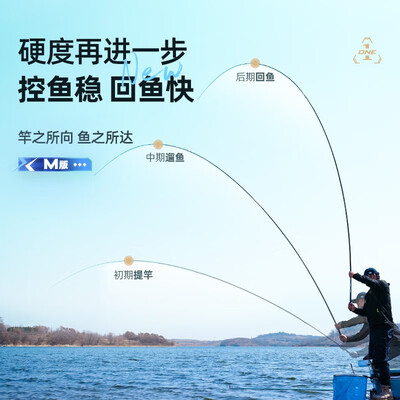 台钓竿和综合竿有什么区别（台钓竿是否值得入手）-图片1