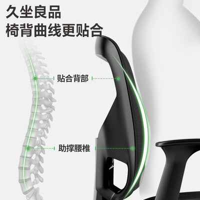 得力4900S人体工学椅评测说真相（得力人体工学椅怎么样）-图片1