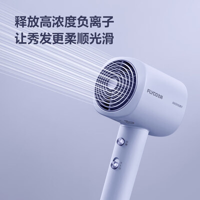 飞科（FLYCO）电吹风机家用 FH6358