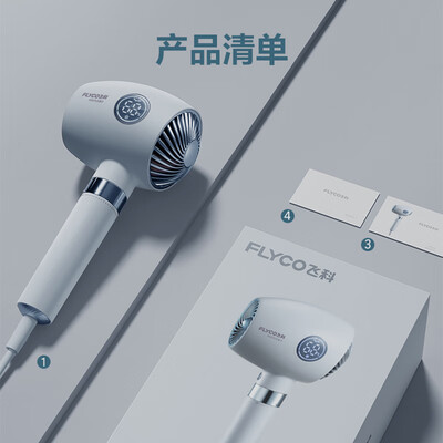飞科 FLYCO 电吹风机 FH6366