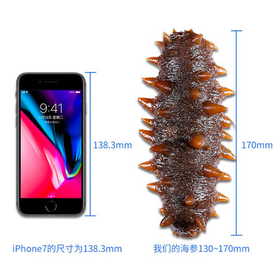 不可错过！海洋世家即食海参的8大震撼功能！