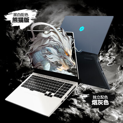 机械革命蛟龙与联想拯救者：性价比之选究竟花落谁家？-图片1