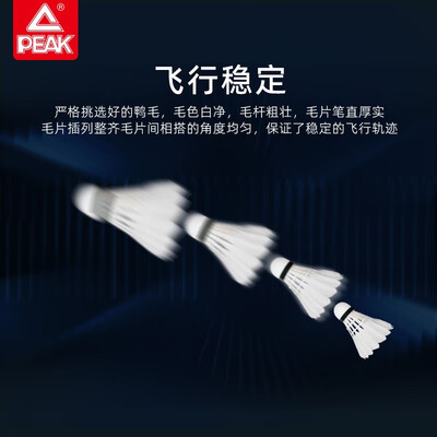 匹克（PEAK）羽毛球六个球 YY52305