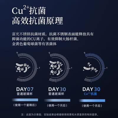 富光 铭成抗菌双层玻璃杯（流通款）330ml G2213-sh-330