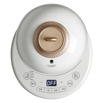 小熊（Bear） 电炖盅  DDZ-C06A1 内胆0.6L+底座1L