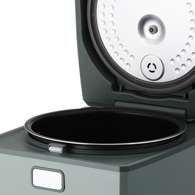 THERMOS （膳魔师）电饭煲多功能电饭锅绿色 860W EHA-4147E-G 绿色