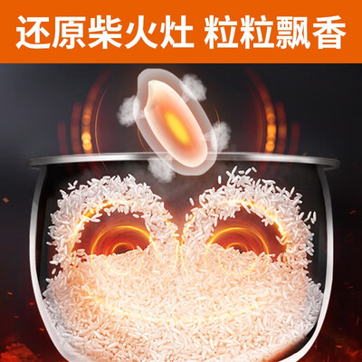 九阳电饭煲F40与F50深度对比：哪款更适合你的餐桌？-图片4