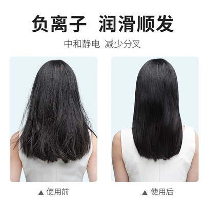 飞科（FLYCO）飞科电吹风 FH6276