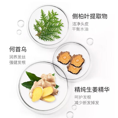 卓蓝雅生姜防脱洗发水800ml评测说真相（卓蓝雅洗发水是哪个国家的）