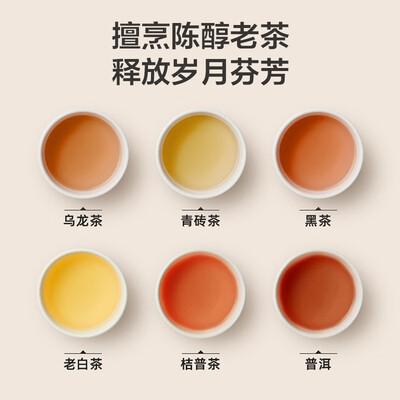 小熊（Bear）煮茶器 ZCQ-A05S1 