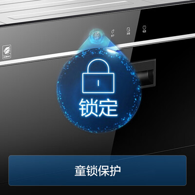 海尔ZQD100F-12LCS1消毒柜：性价比之选，守护家人健康新利器-图片1