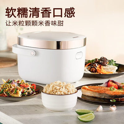 飞利浦（PHILIPS）电饭煲 HD3081/00 2L