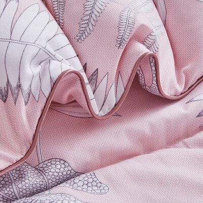 路易卡罗（Louis Kellog）叶柔羽丝被LK8781