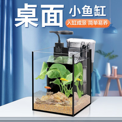 科技改变生活!BESSN鱼缸让你的生活怎么样不一样!