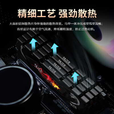 棘蛇64GB(32Gx2)套装 DDR4 3200 台式机内存条 玄龙系列怎么样?爆料五大细节特点!
