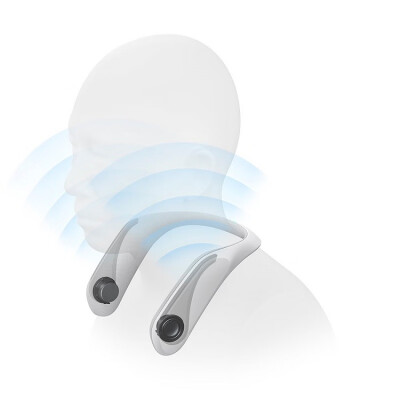 索尼（SONY） 索尼SONY SRS-WS1无线蓝牙颈挂式音箱扬声器 沉浸式立体音效音响便携可穿戴 SRS-WS1白色