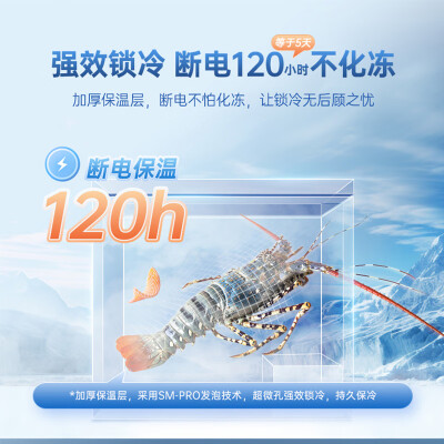 澳柯玛 AUCMA BC/BD-300NEM 300升冰柜家用商用靠谱吗,揭秘内幕（澳柯玛冰柜质量怎么样）-图片3