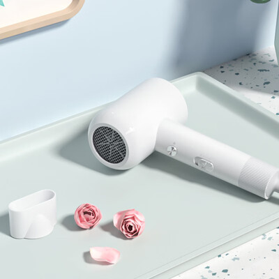 超人（SID）电吹风家用 RD7610白