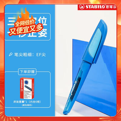 STABILO德国进口钢笔EF细尖学生用评测说真相(思笔乐钢笔怎么换尖)-图片3