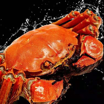 觅味鲜大闸蟹怎么样,相比其他品牌的五大优势!