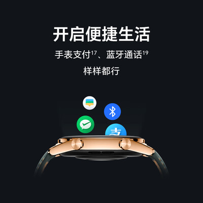 荣耀（HONOR）手表GS 4 金色 真金镀层轻薄设计 14天超长续航 全方位健康监测 智能手表多功能运动手表