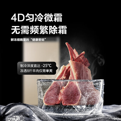 海尔立式冰柜系列和价格(海尔 BD-102L 立式风冷冰柜立式冰柜评测说真相)-图片1