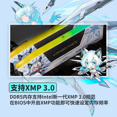 美商海盗船复仇者RGB DDR5 6400 32GB内存条质量深度剖析：真假辨识有门道-图片1