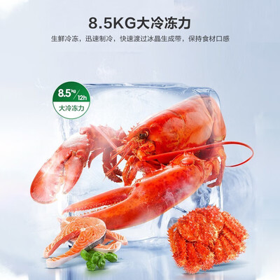 容声BCD-646WD11HPA双门冰箱到底好不好？权威评测告诉你答案！