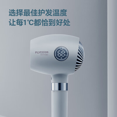 飞科 FLYCO 电吹风机 FH6366
