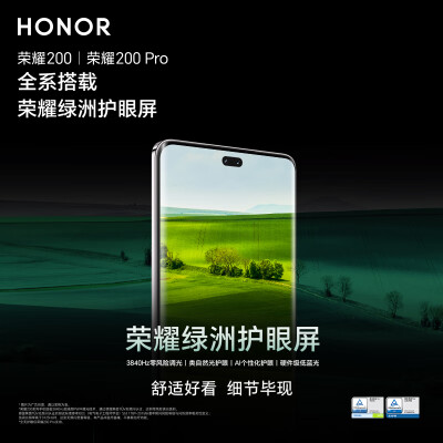 荣耀200 新品 旗舰级青海湖电池 绿洲护眼屏 5000万雅顾光影主摄 拍照手机 AI手机 12+256