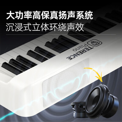 特伦斯折叠电钢琴88键到底如何,值得入手吗（特伦斯电钢琴是哪个国家的）