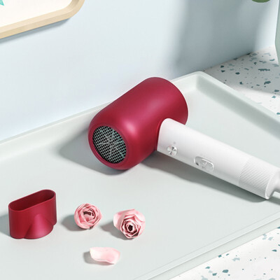 超人 电吹风家用 RD7610红