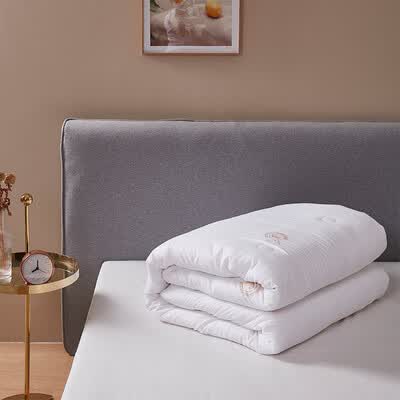 路易卡罗（Louis Kellog） 大豆抗菌被冬被LK8770