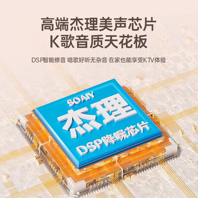 索爱SK15白无线K歌套装话筒质量烂不烂（索爱话筒怎么连接音响）