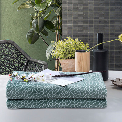 路易卡罗（Louis Kellog） LK-4303 叶绿素抗菌纤维毯