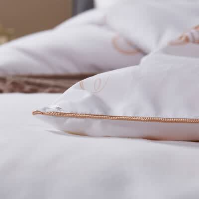 路易卡罗（Louis Kellog） 大豆抗菌被冬被LK8770