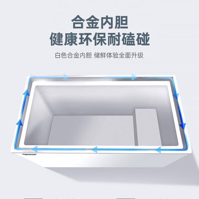 澳柯玛BC/BD-323NE冷柜到底如何,值得入手吗（澳柯玛冷柜怎么调温度视频）-图片5