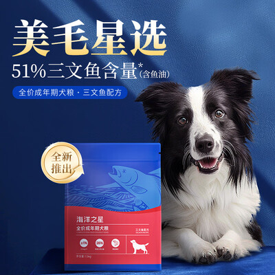 海洋之星三文鱼和深海鱼区别（海洋之星三文鱼犬粮6kg天然狗粮好不好）-图片1