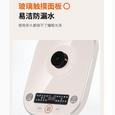 九阳（Joyoung）养生壶家用 1.5L  K15D-WY730